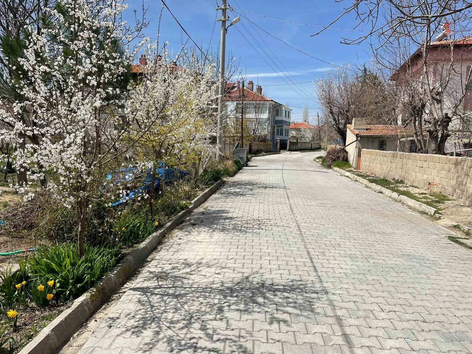 bilecik-haber_afyonkarahisar-da-agaclar-baharin-mujdecisi-olarak-rengarenk-cicek-acti-105554.jpg