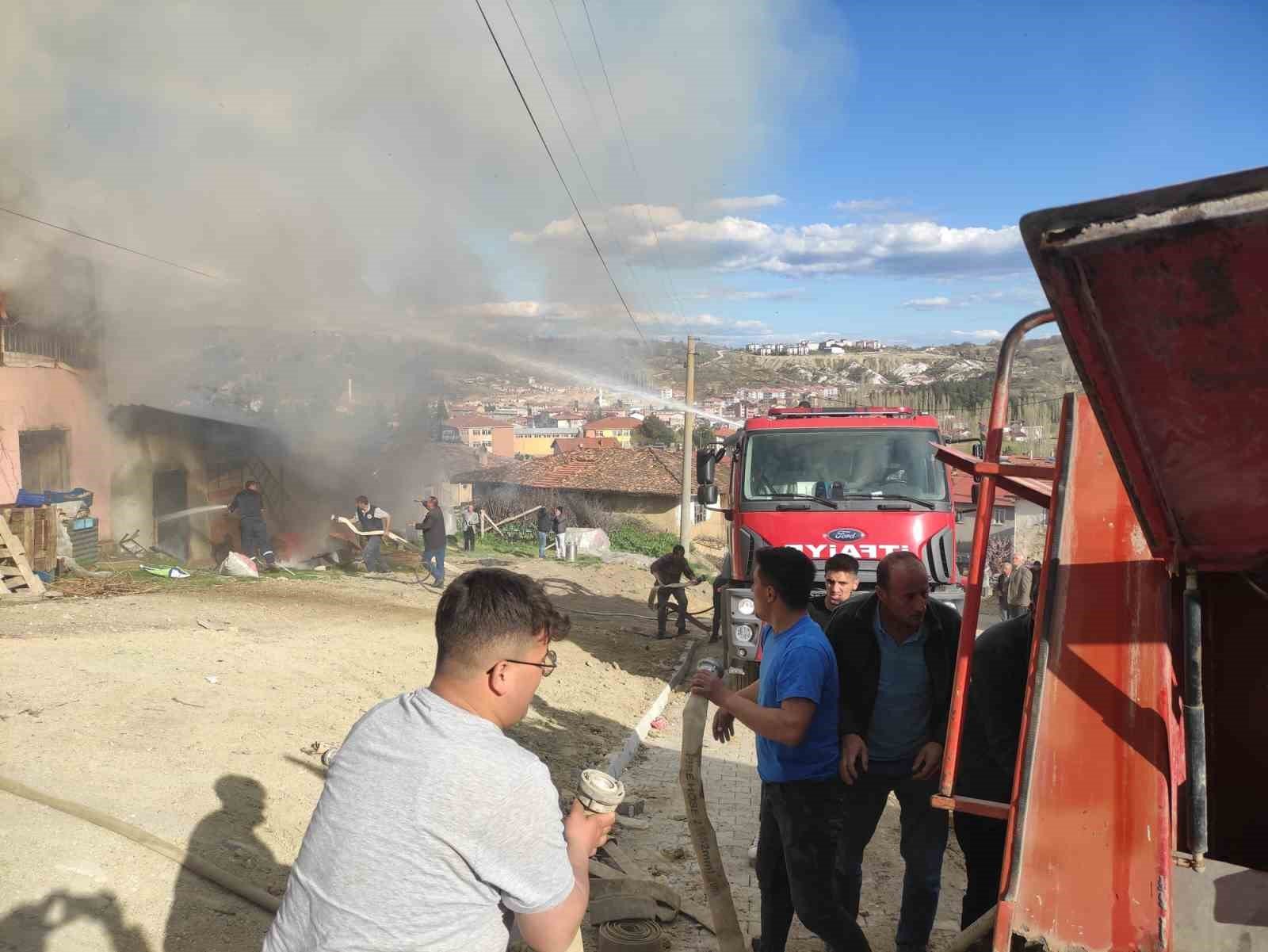 bilecik-haber_ahir-yangininda-4-buyukbas-hayvan-telef-oldu-106136.jpg