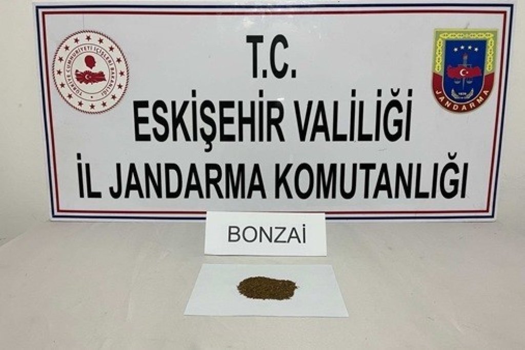 bilecik-haber_jandarma-operasyonlarinda-12-gram-uyusturucu-madde-ele-gecirildi-1594.jpg
