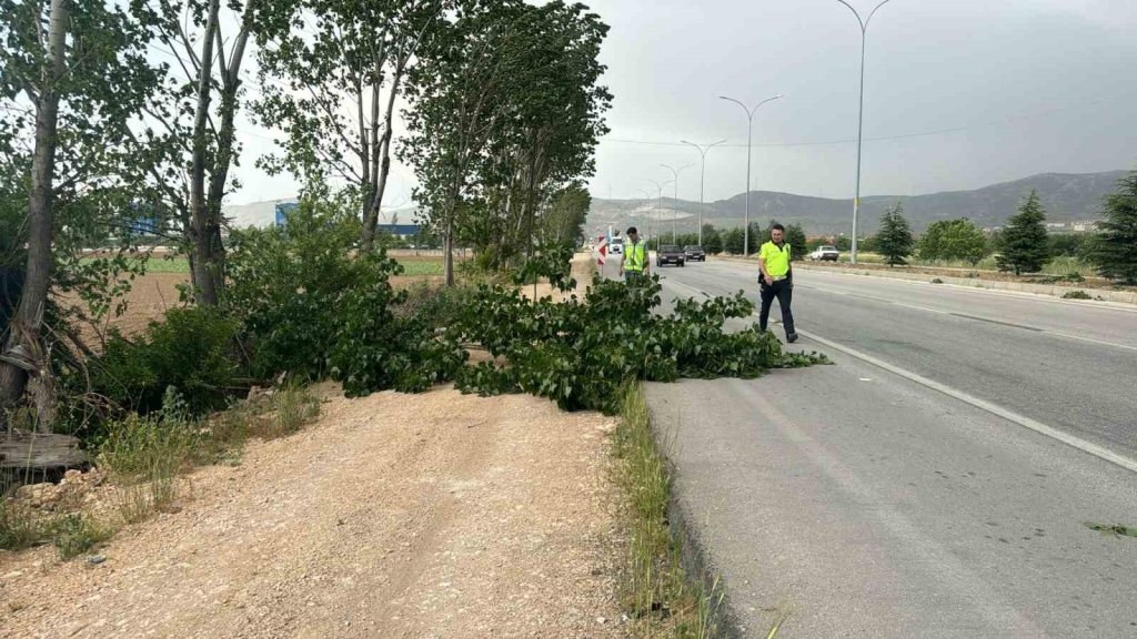 bilecik-haber_afyonkarahisar-da-kotu-hava-sartlari-hayati-olumsuz-etkiledi-6310.jpg