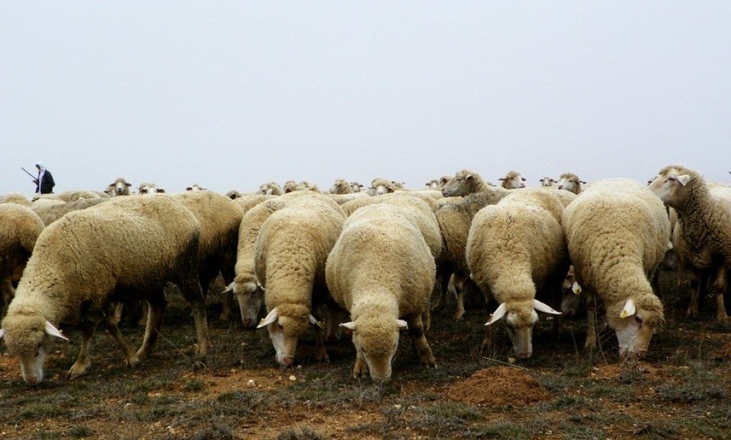 bilecik-haber_halk-elinde-islah-18-yilinda-3776.jpg