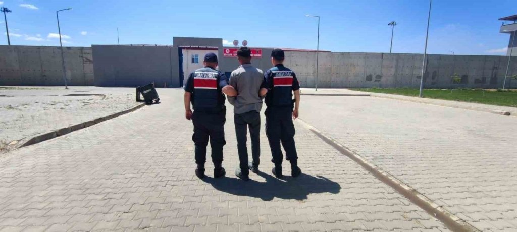 bilecik-haber_hirsizlik-sucundan-aranan-sahsi-jandarma-yakaladi-4307.jpg