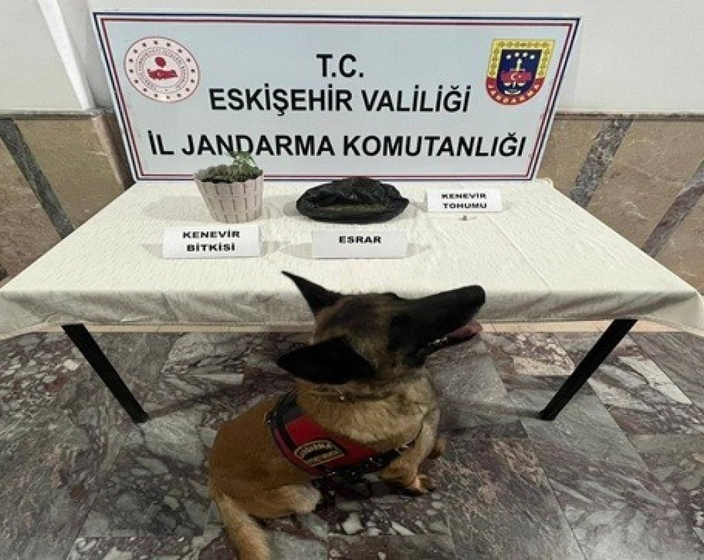 bilecik-haber_jandarma-ekiplerinden-4-ayri-uyusturucu-operasyonu-2741.jpg