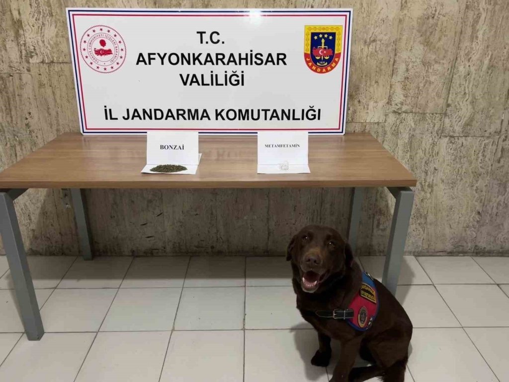 bilecik-haber_jandarma-takibe-aldigi-aracta-uyusturucu-ele-gecirdi-2154.jpg
