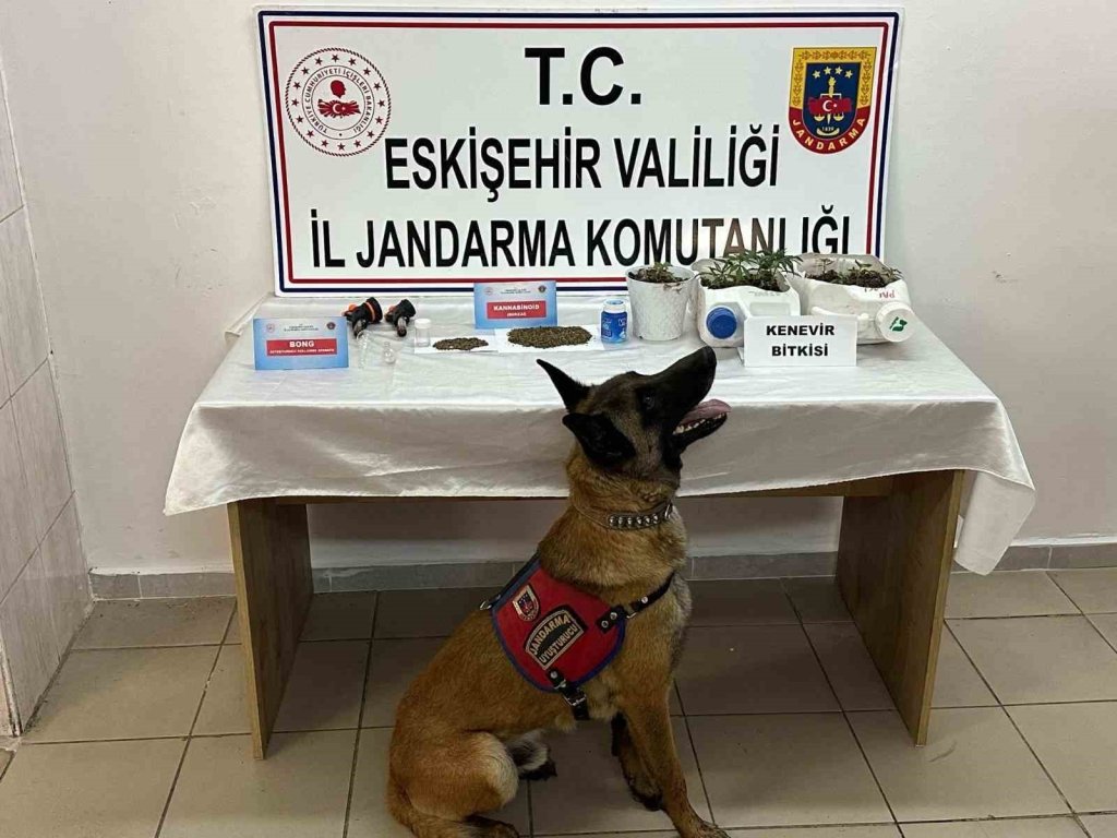 bilecik-haber_kenevir-yetistirip-uyusturucu-satan-sahislar-jandarma-tarafindan-yakalandi-6294.jpg