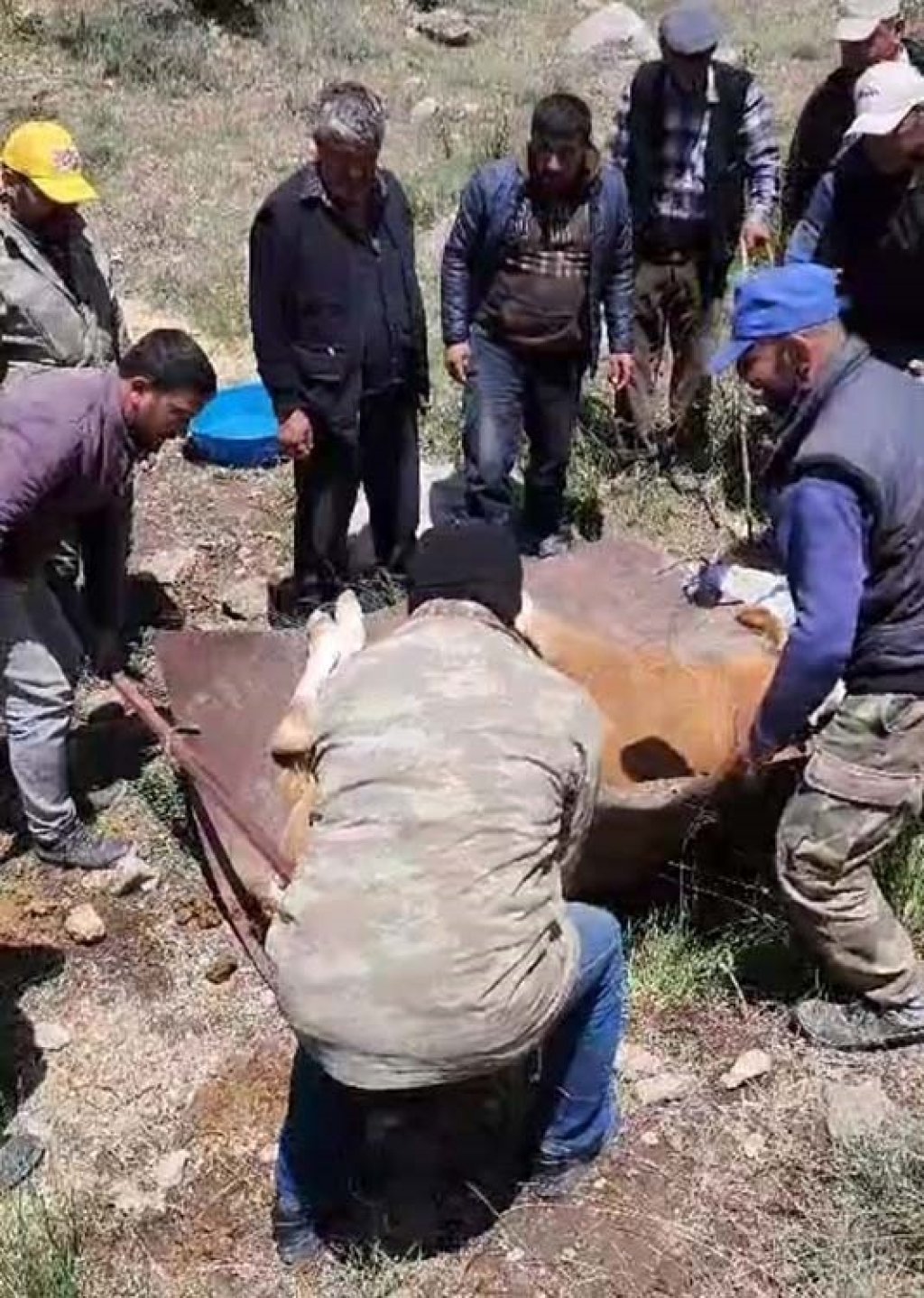 bilecik-haber_koylulerden-inek-kurtarma-operasyonu-7125.jpg