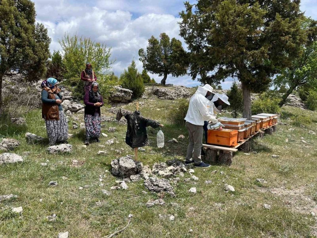 bilecik-haber_kutahya-da-15-ureticiye-ucretsiz-105-ari-kovani-dagitildi-6222.jpg