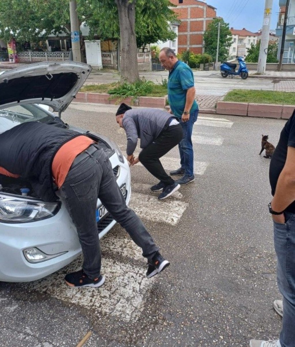bilecik-haber_otomobilin-motor-kismina-giden-yavru-kedi-kurtarildi-7907.jpg