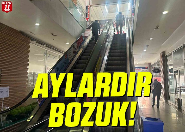 AYLARDIR