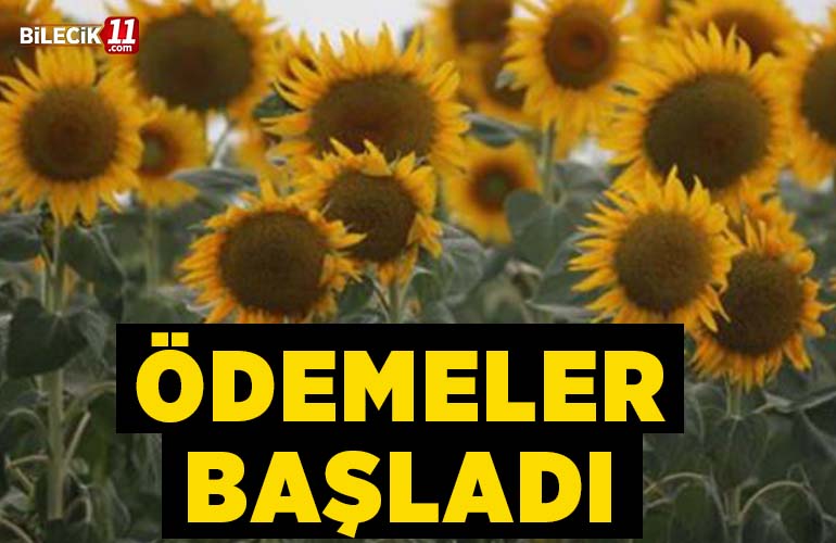 başladıııııı