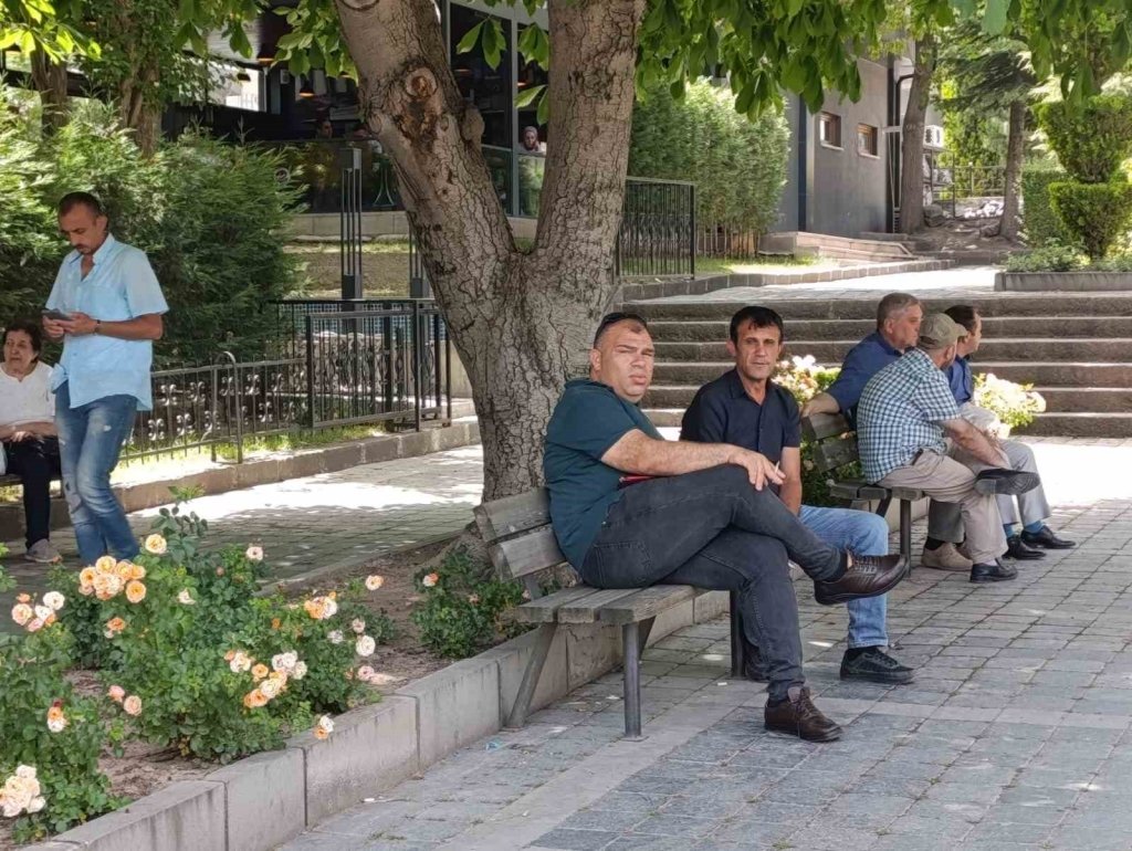 bilecik-haber_afyonkarahisar-da-asiri-sicaklar-etkili-oldu-10825.jpg