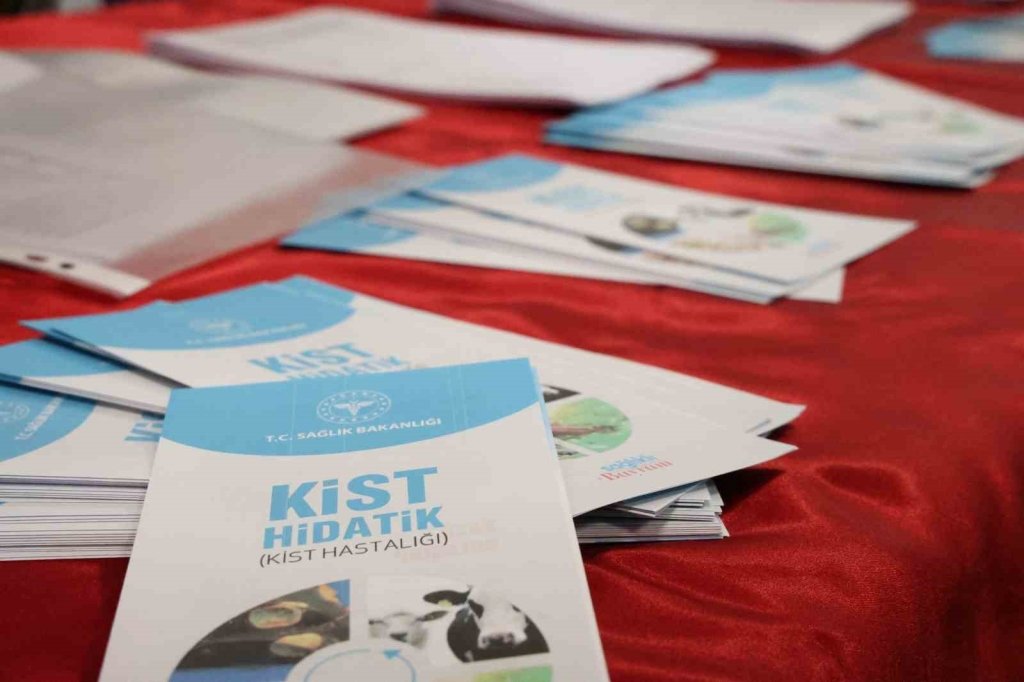 bilecik-haber_bilincsiz-kurban-kesimi-hem-sokak-kopekleri-hem-de-insanlar-icin-buyuk-risk-olusturuyor-9541.jpg