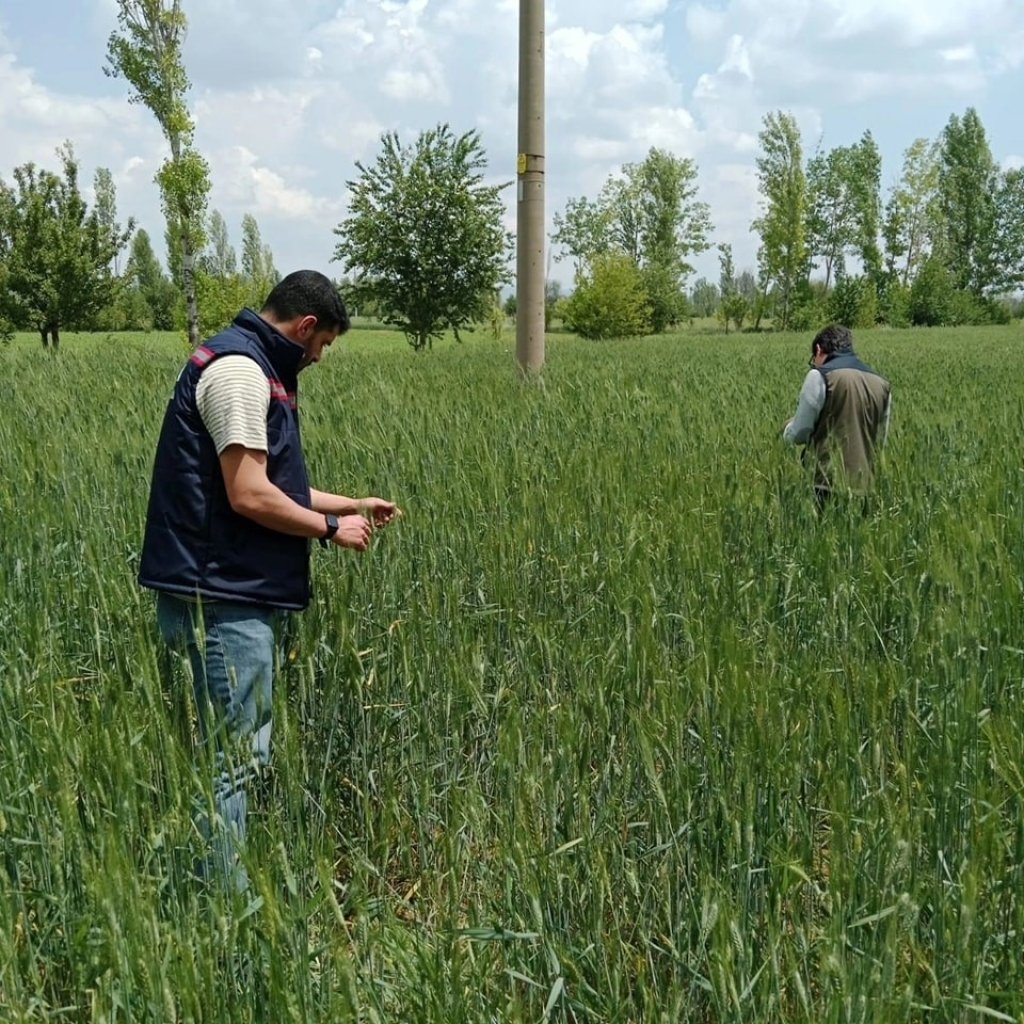 bilecik-haber_ekili-tarim-alanlarinda-kontroller-suruyor-8398.jpg