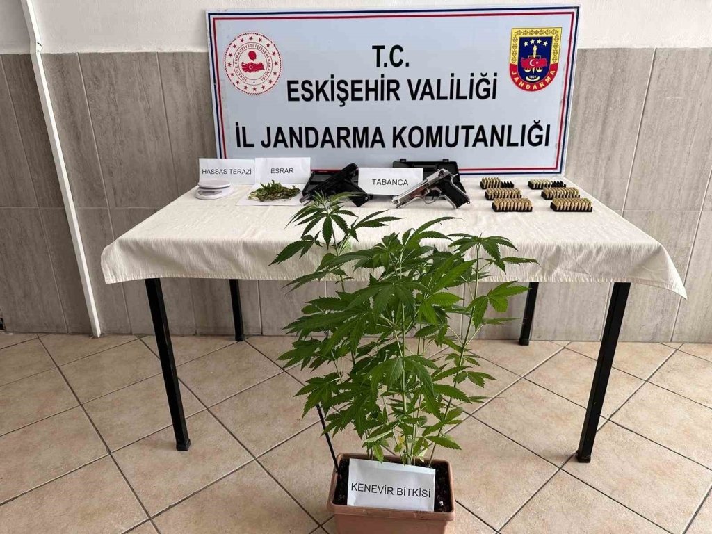 bilecik-haber_evinde-kenevir-yetistiren-sahsa-jandarma-operasyonu-10641.jpg
