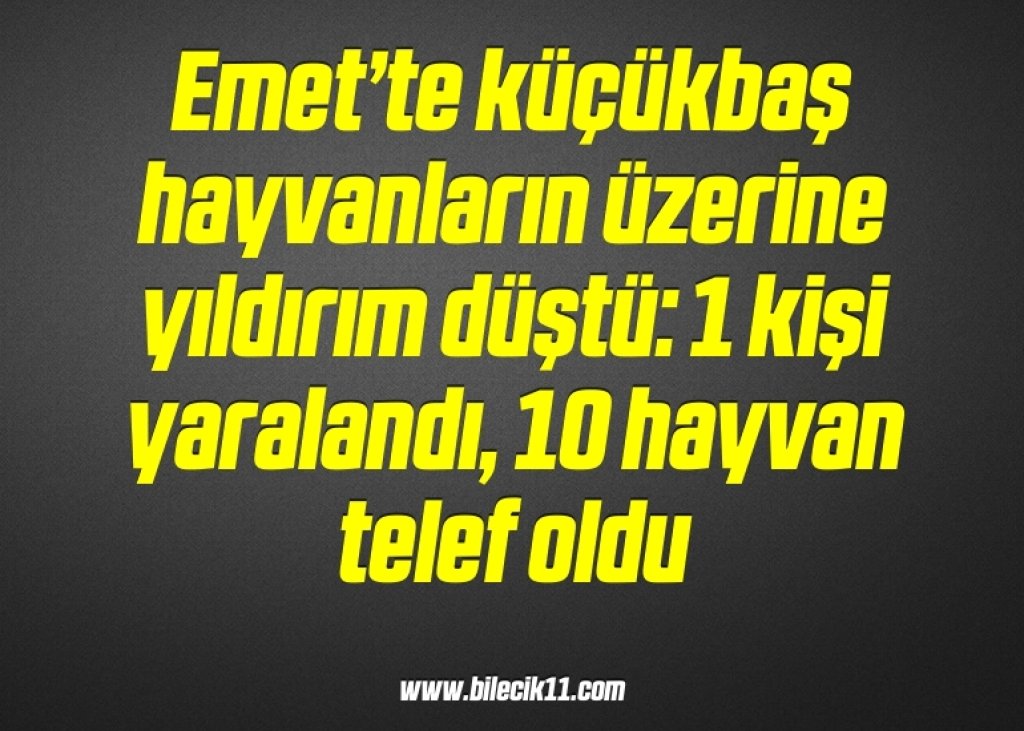 bilecik-haber_emet-te-kucukbas-hayvanlarin-uzerine-yildirim-dustu-1-kisi-yaralandi-10-hayvan-telef-oldu-7-7.jpg