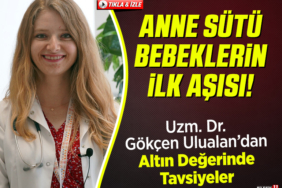 ANNE SÜTÜ