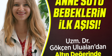 ANNE SÜTÜ