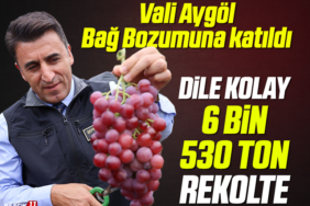 AYGOL