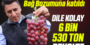 AYGOL