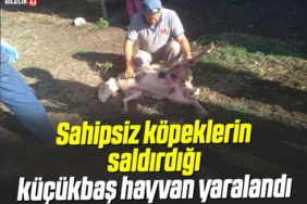 KOPEKLER