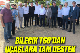 TAMDESTEK