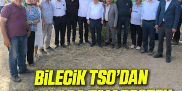 TAMDESTEK