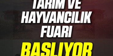 TARIM