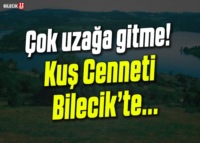 UZAĞA GİTME