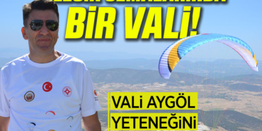 VALİ