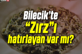 ZIRZ