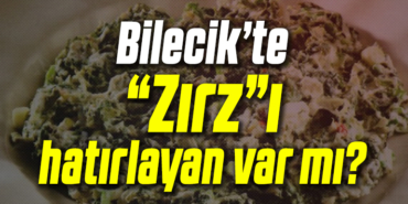 ZIRZ