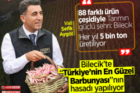 aygöl