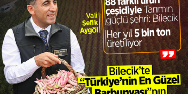 aygöl