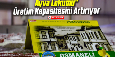 ayvalokumu