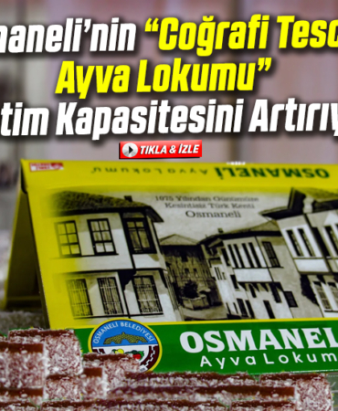 ayvalokumu