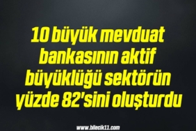 bilecik-haber_10-buyuk-mevduat-bankasinin-aktif-buyuklugu-sektorun-yuzde-82-sini-olusturdu-4-4.jpg