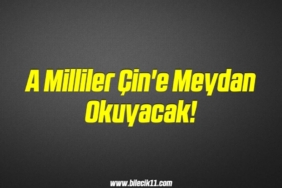 bilecik-haber_a-milliler-cin-e-meydan-okuyacak-11-11.jpg