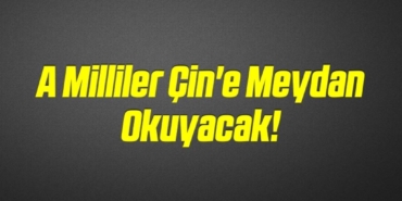 bilecik-haber_a-milliler-cin-e-meydan-okuyacak-11-11.jpg