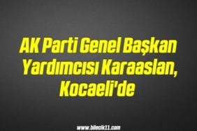 bilecik-haber_ak-parti-genel-baskan-yardimcisi-karaaslan-kocaeli-de-7-7.jpg