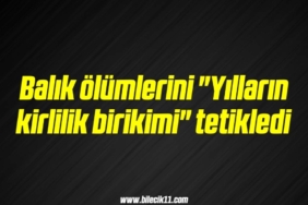bilecik-haber_balik-olumlerini-yillarin-kirlilik-birikimi-tetikledi-19-19.jpg
