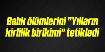 bilecik-haber_balik-olumlerini-yillarin-kirlilik-birikimi-tetikledi-19-19.jpg