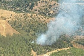 bilecik-haber_balikesir-de-cikan-orman-yangini-kontrol-altina-alindi-21022.jpg