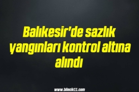 bilecik-haber_balikesir-de-sazlik-yanginlari-kontrol-altina-alindi-15-15.jpg