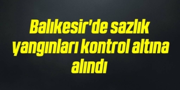bilecik-haber_balikesir-de-sazlik-yanginlari-kontrol-altina-alindi-15-15.jpg