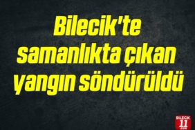 bilecik-haber_bilecik-te-samanlikta-cikan-yangin-sonduruldu-23043.jpg