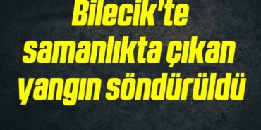 bilecik-haber_bilecik-te-samanlikta-cikan-yangin-sonduruldu-23043.jpg