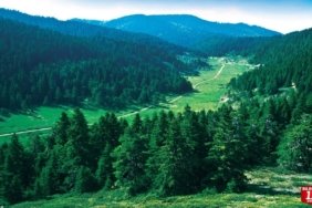 bilecik-haber_bozuyuk-te-4-kaynak-suyu-olan-yayla-20978.jpg