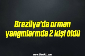 bilecik-haber_brezilya-da-orman-yanginlarinda-2-kisi-oldu-5-5.jpg