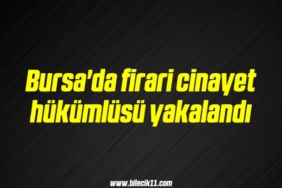 bilecik-haber_bursa-da-firari-cinayet-hukumlusu-yakalandi-14-14.jpg