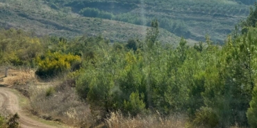 bilecik-haber_bursa-da-ormanlik-alanda-yangin-cikti-24123.jpg